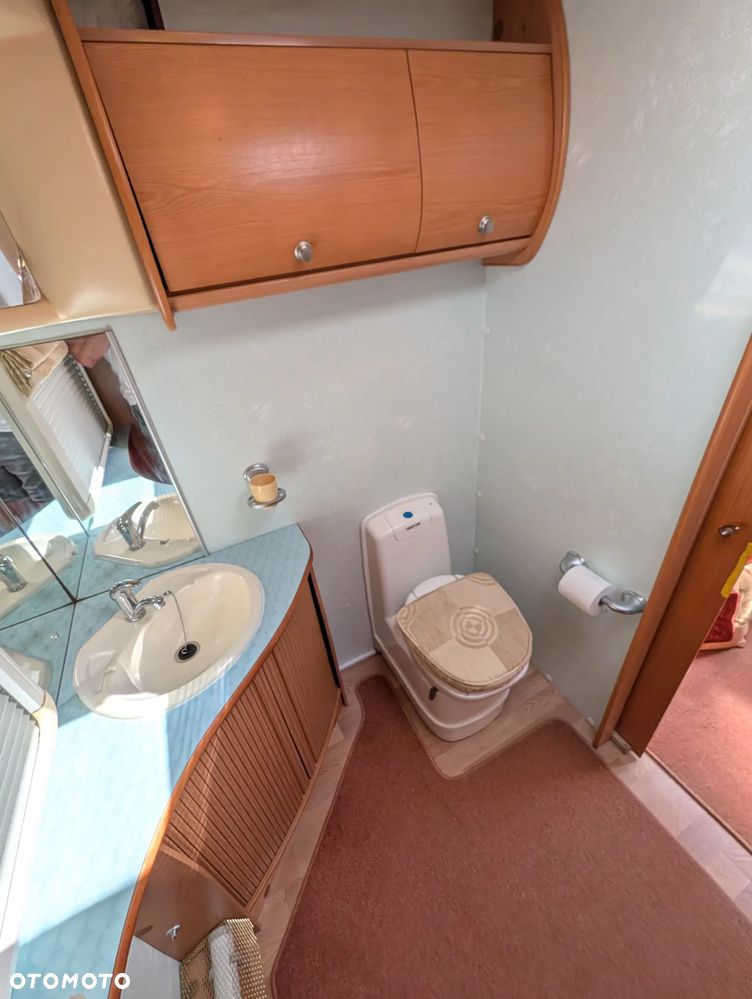 Avondale Golden Avocet - 14