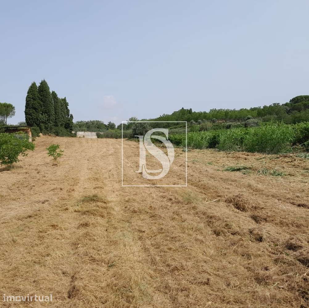Terreno  Venda em Mealhada, Ventosa do Bairro e Antes,Mealhada - Grande imagem: 4/5