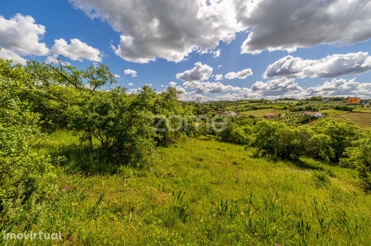 Terreno Urbanizável a 5 min. da Batalha - Grande imagem: 4/41