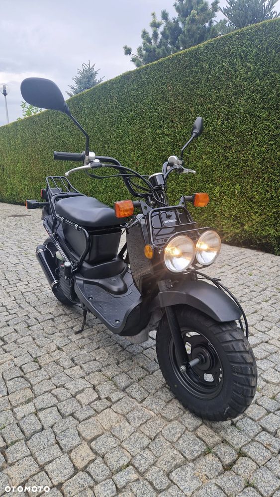 Honda Zoomer - 1