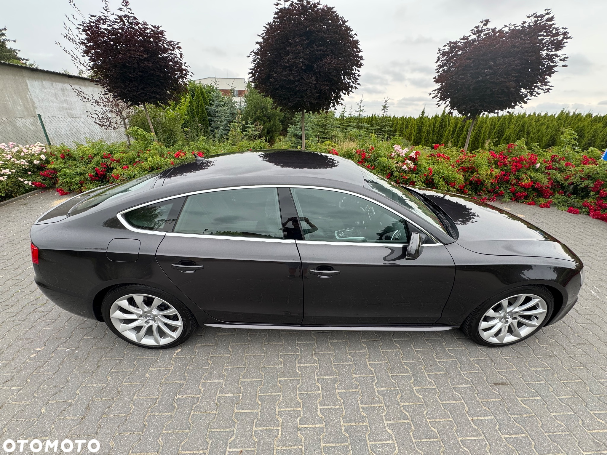 Audi A5 2.0 TDI Sportback quattro DPF S tronic - 10