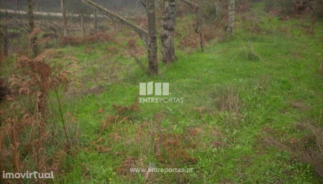 Venda Terreno, Várzea do Douro, Marco de Canaveses - Grande imagem: 5/12
