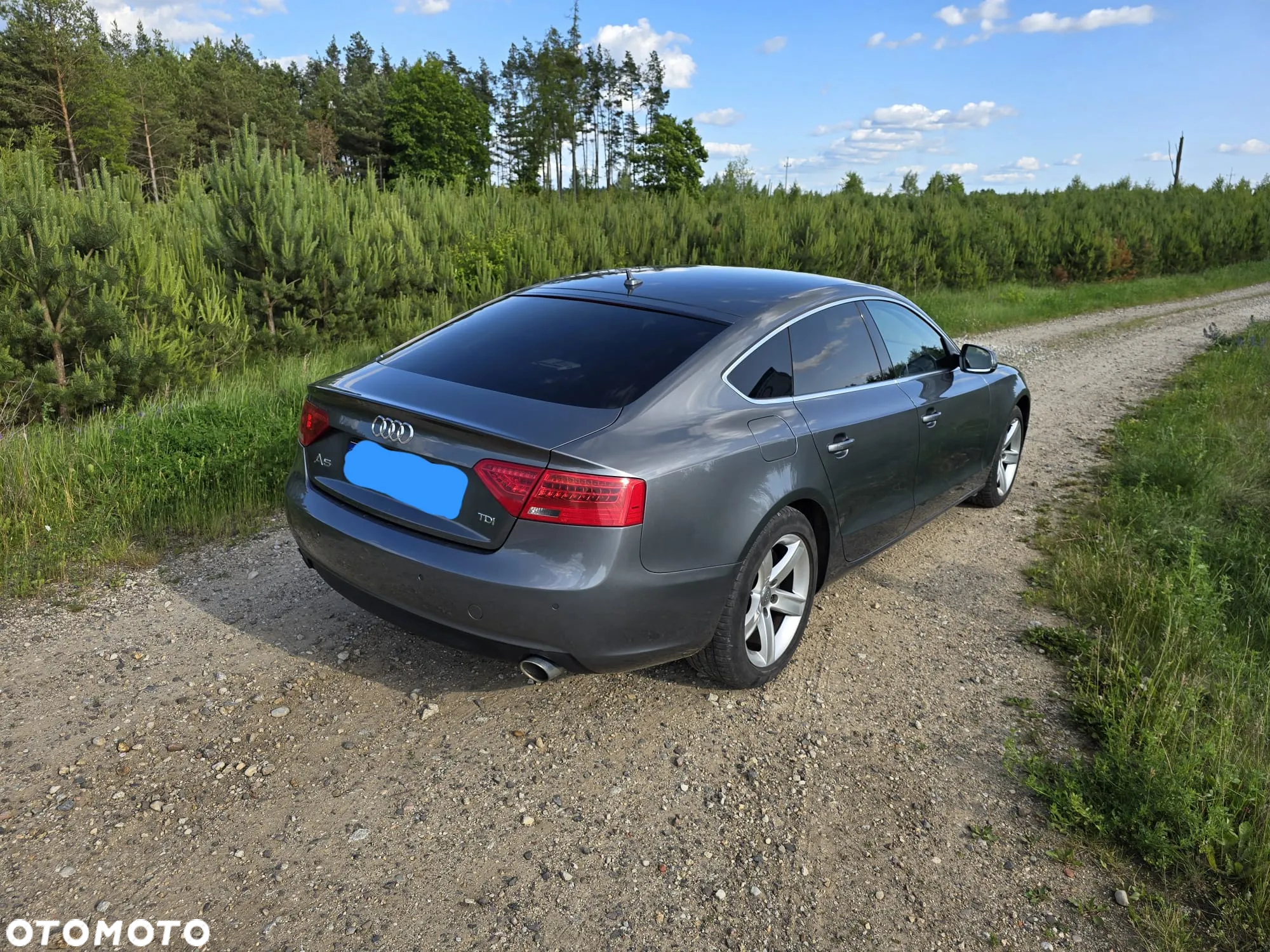 Audi A5 3.0 TDI Sportback DPF multitronic - 4