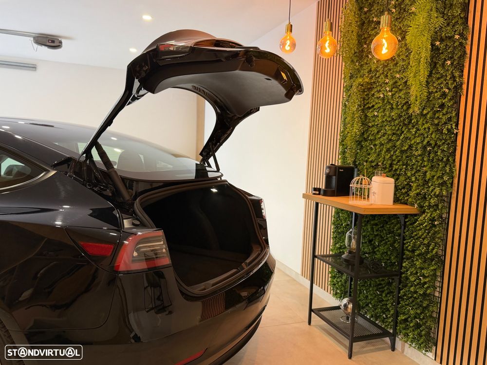 Tesla Model 3 Standard RWD - 32