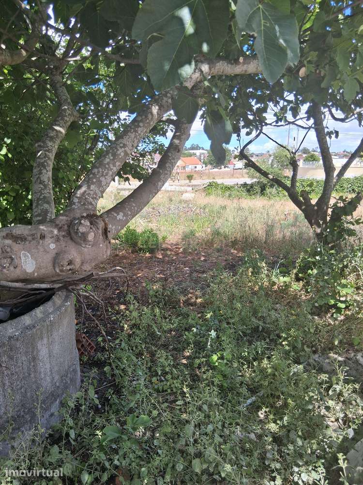 Terreno urbano em gaveto na rua Fernão  Magalhães, Pinhal do General. - Grande imagem: 3/14