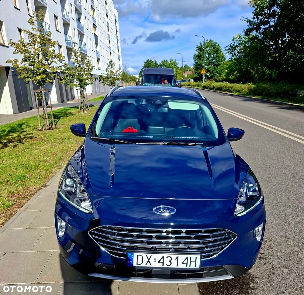 Kia Sportage 1.6 T-GDI HEV Business Line 2WD - 30