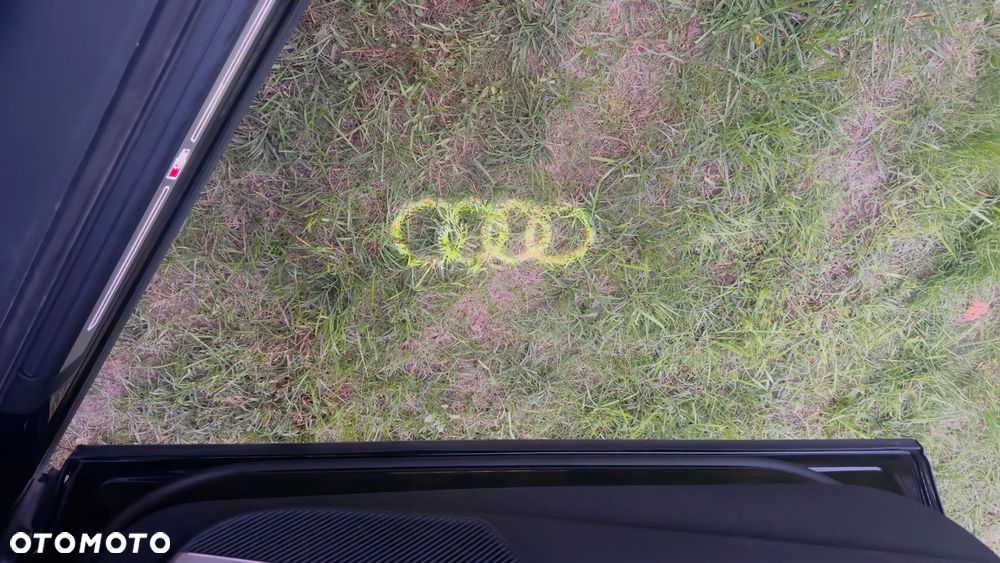 Audi SQ5 - 30