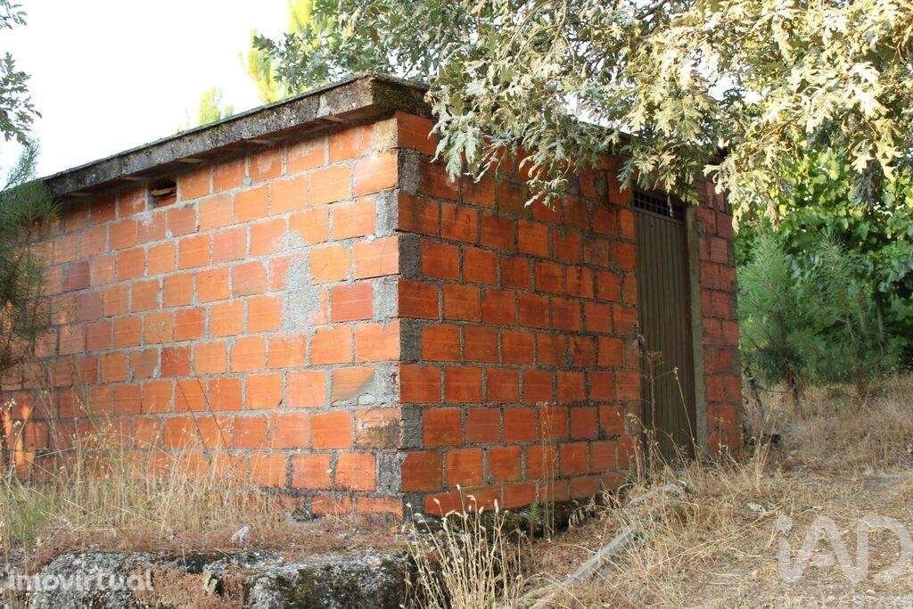 Terreno em Nogueira do Cravo - Grande imagem: 5/11