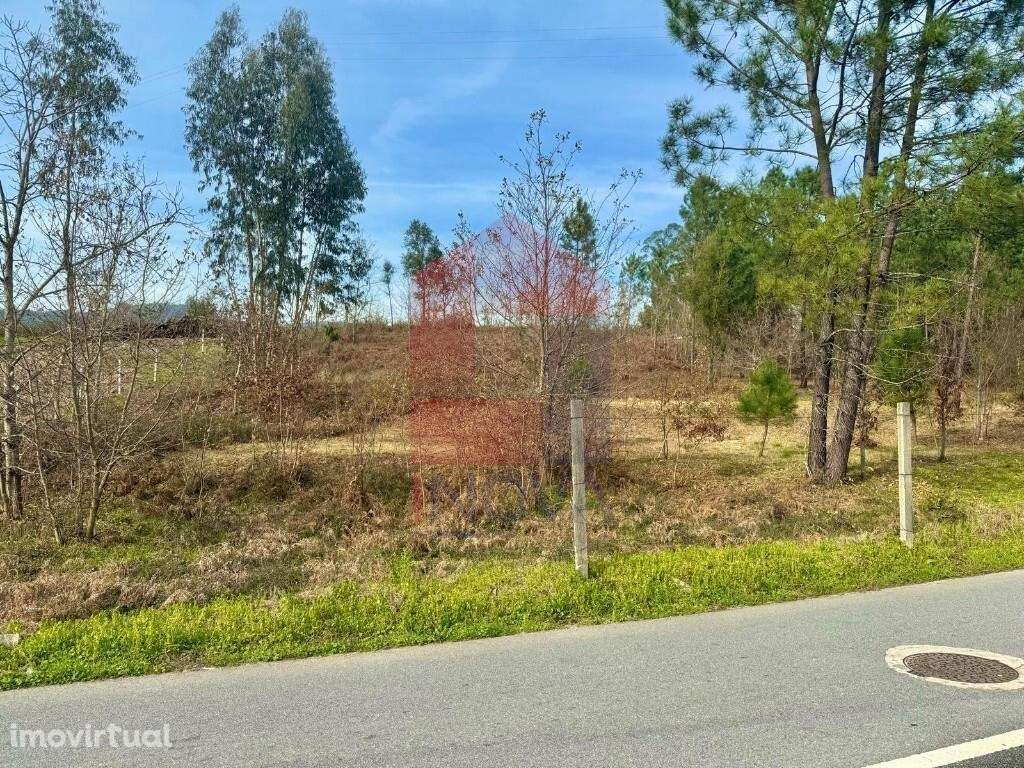 Terreno localizado em zona agrícola,  Sande - Grande imagem: 4/25