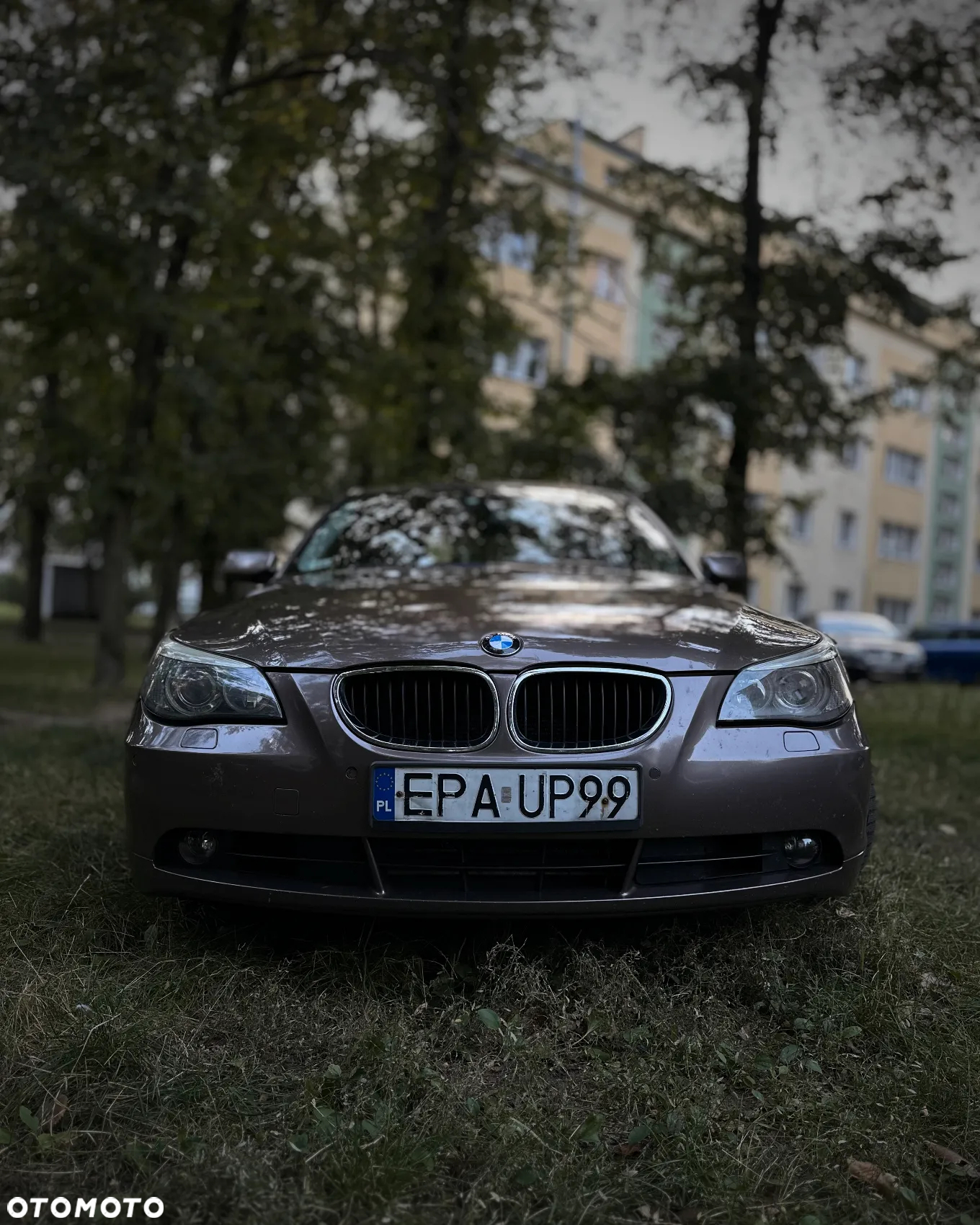 BMW Seria 5 525i - 9