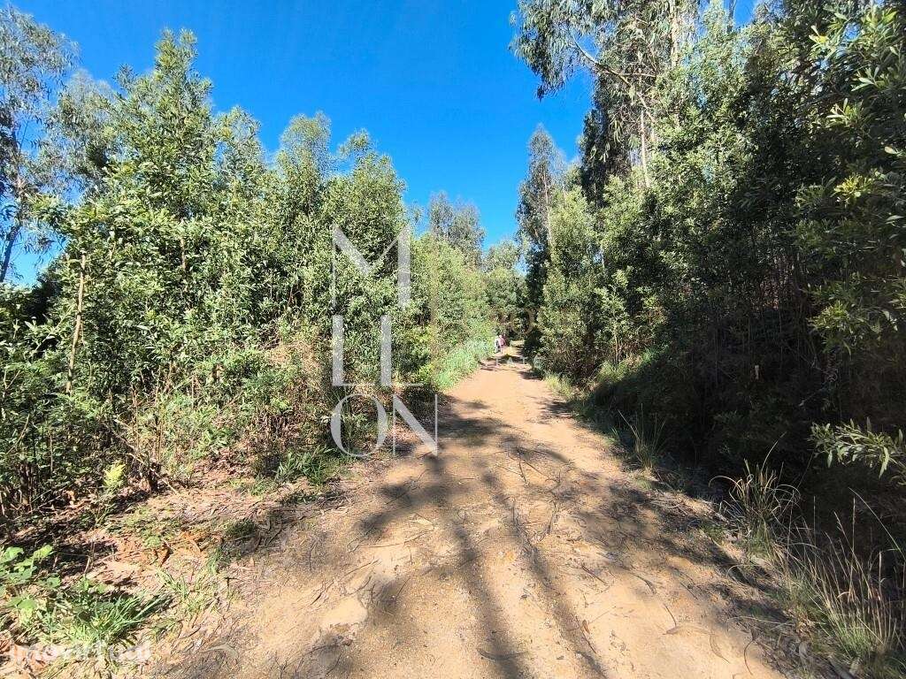 TERRENO | 3800 M2 | GRIJÓ - Grande imagem: 3/7