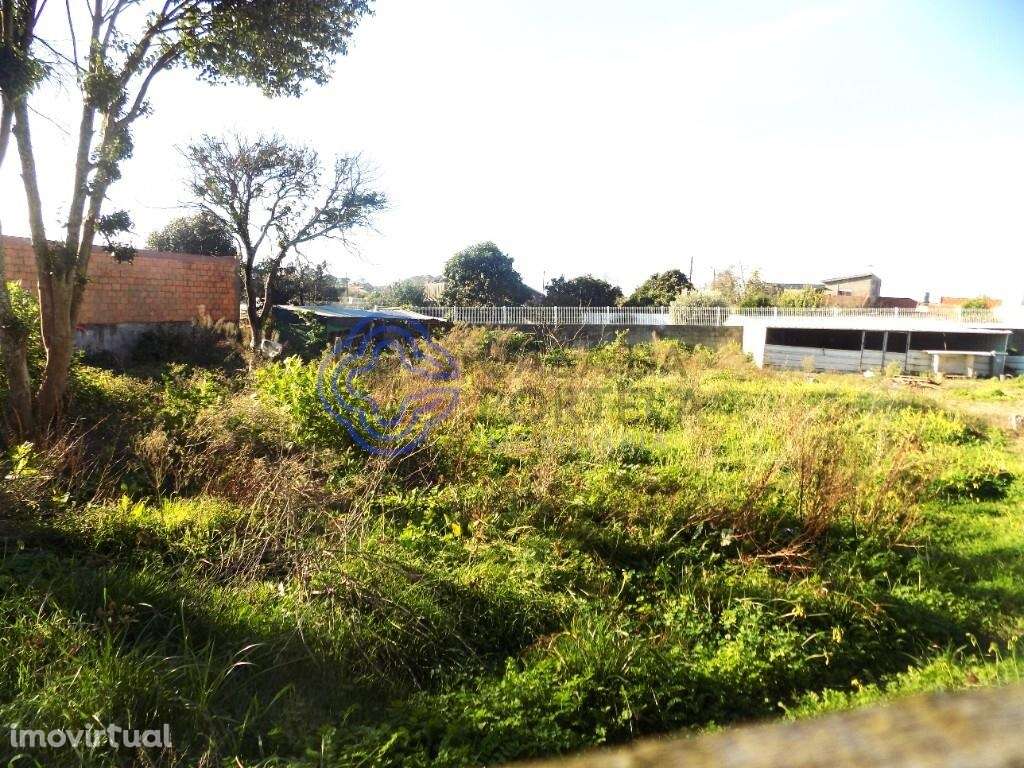Terreno Plano-Baixa de Preço!-Excelente Oportunidade! - Grande imagem: 2/5