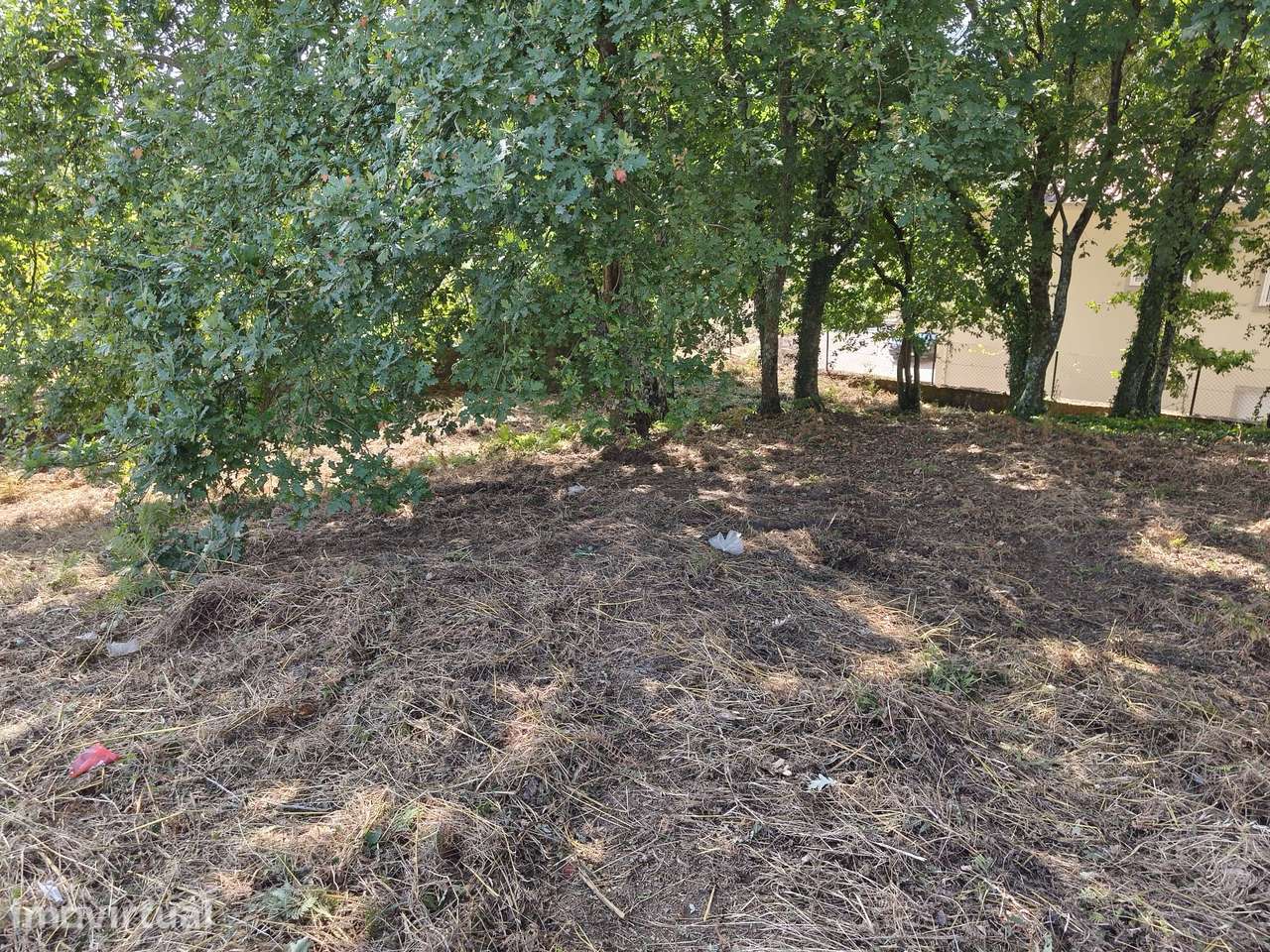 Vende Terreno Besteiros Paredes - Grande imagem: 2/5