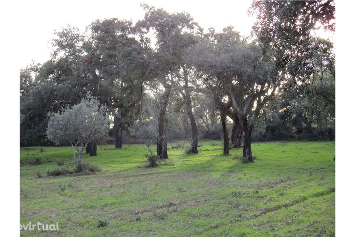 Quinta T0 para venda - Grande imagem: 2/25