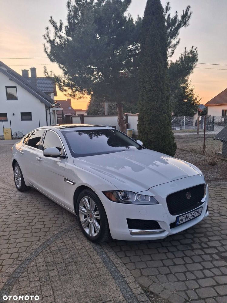 Jaguar Xf 2016 photo 3