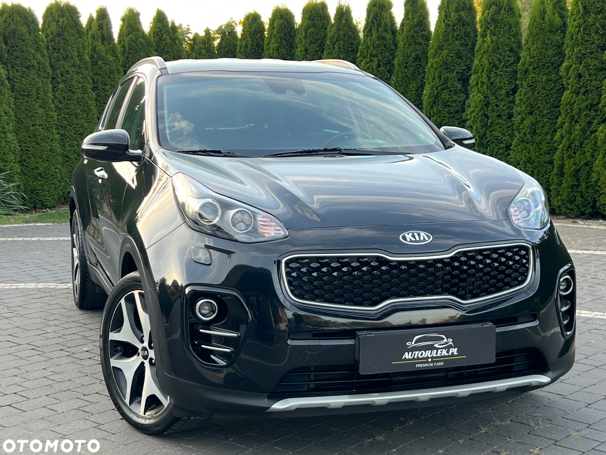 Kia Sportage 1.6 T-GDI L Business Line Plus 2WD - 19