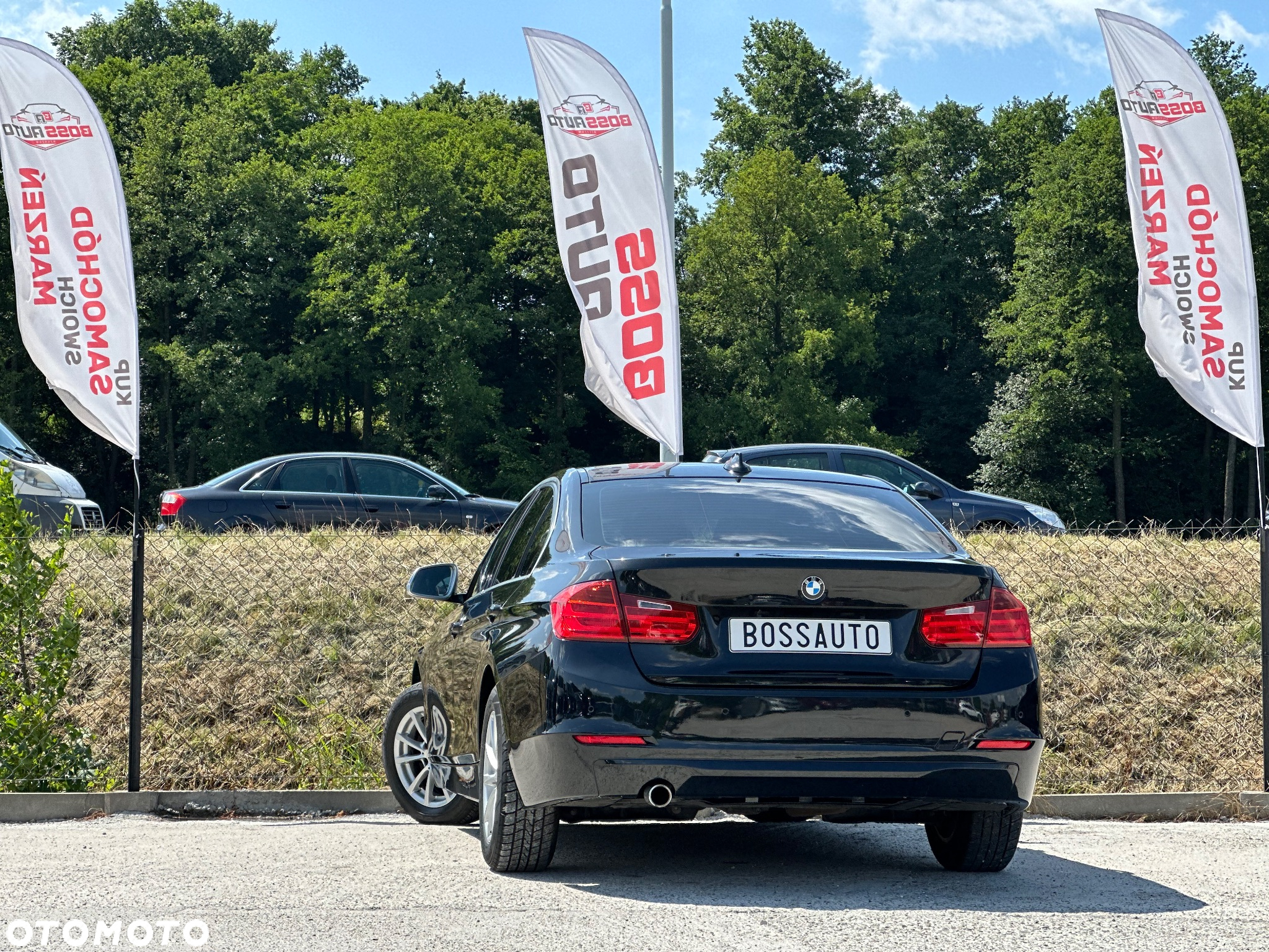 BMW Seria 3 318d - 10