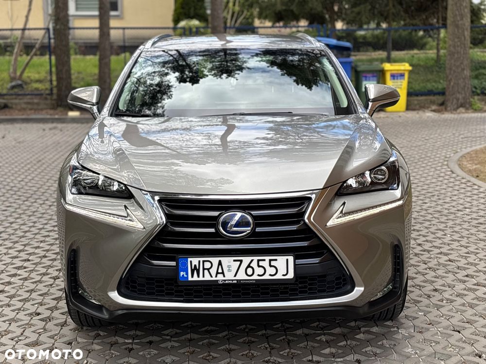 Lexus NX 300h Elite AWD - 18