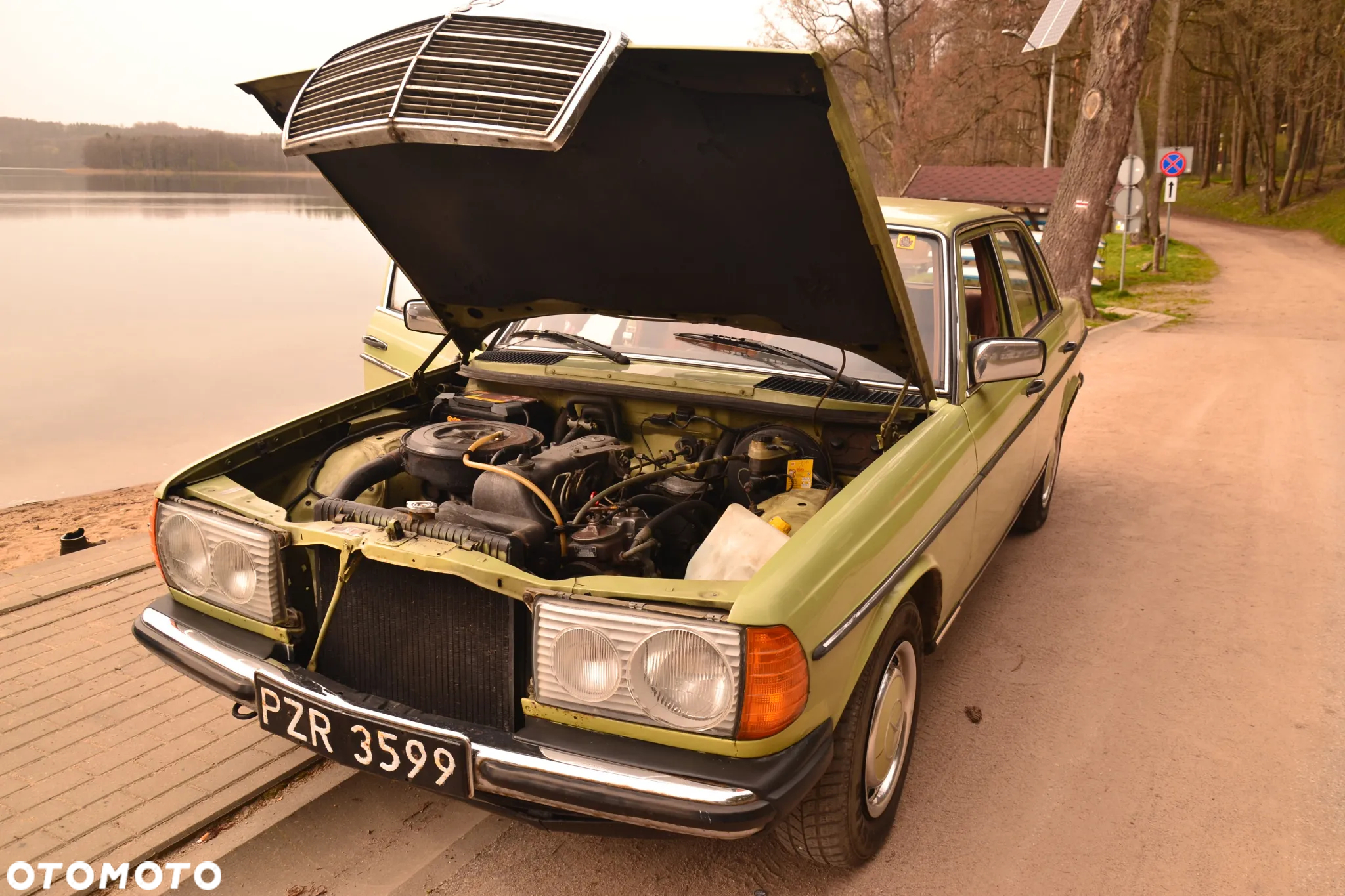 Mercedes-Benz W123 - 38