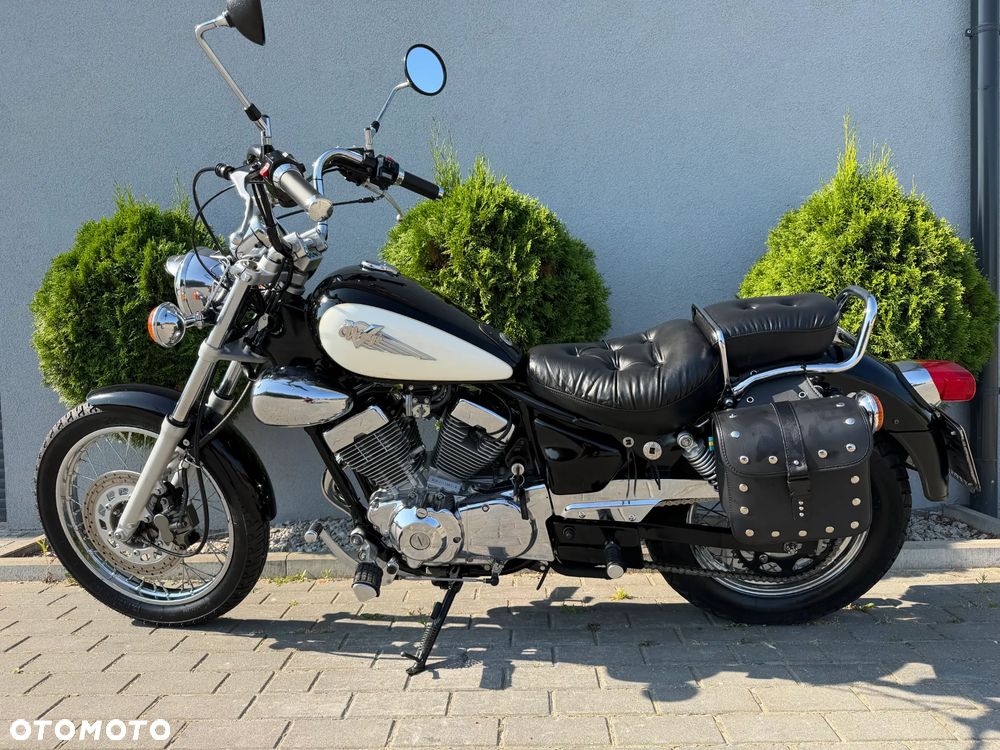 Yamaha Virago - 6