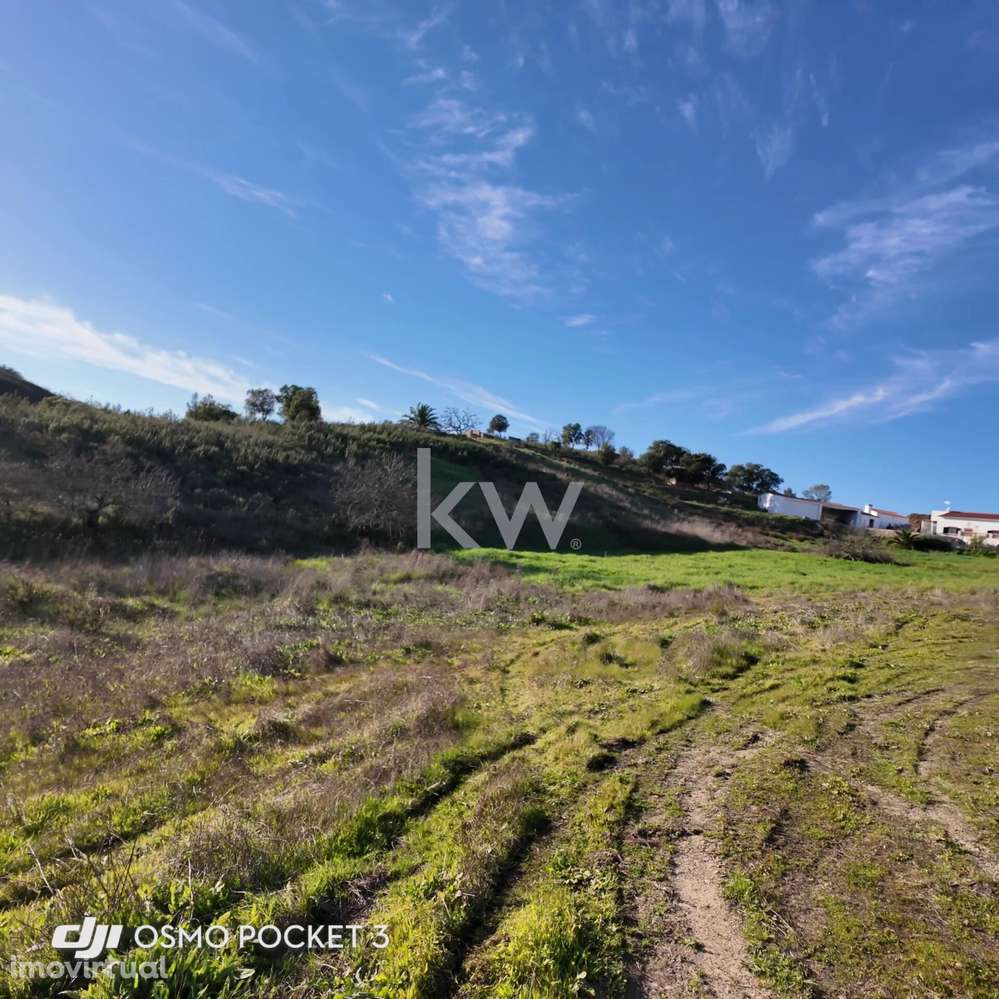 Terreno Rústico em Vale Figueira - S. Bartolomeu de Messines - Grande imagem: 5/11
