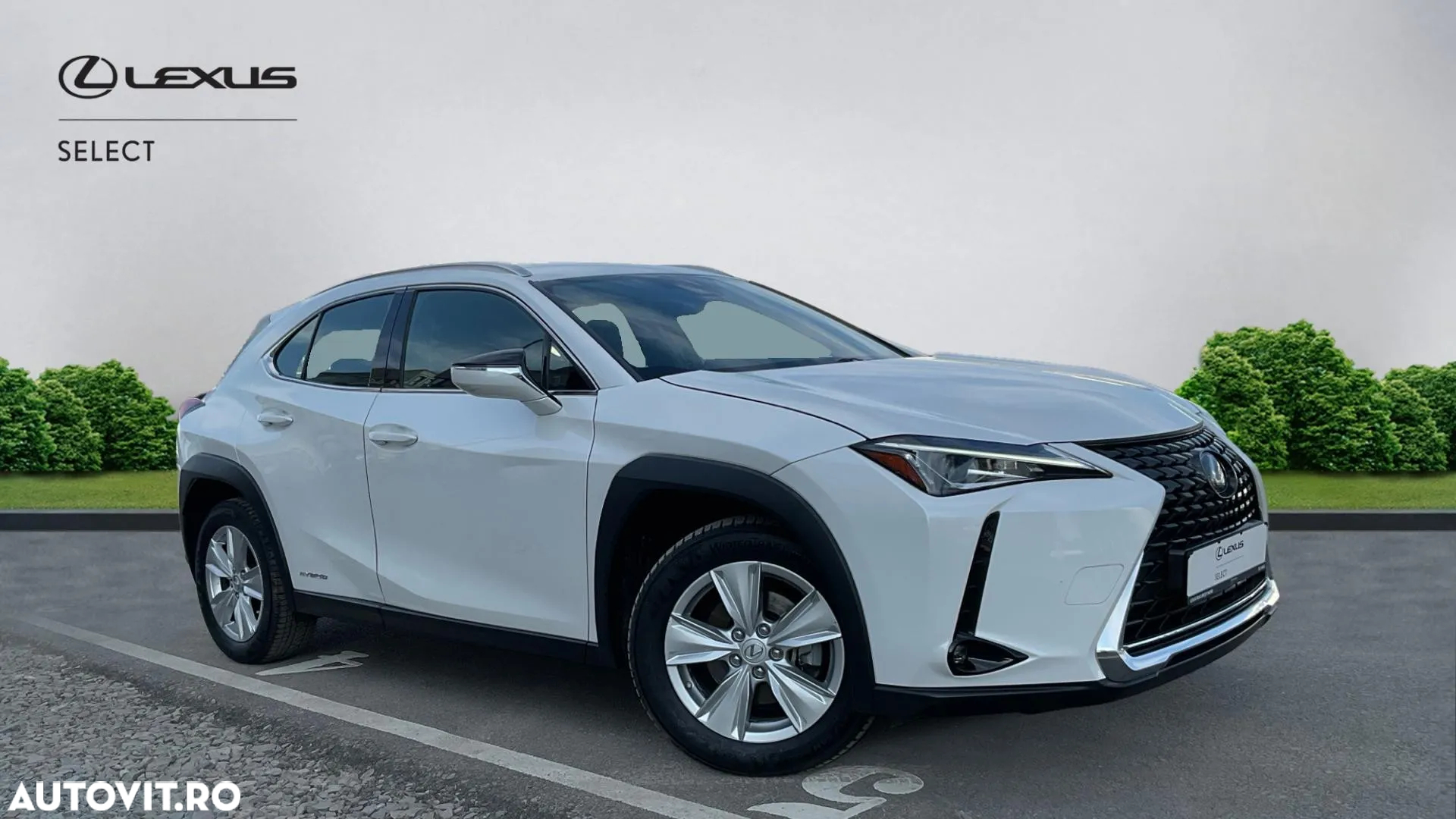 Lexus UX 250h Business Edition - 17