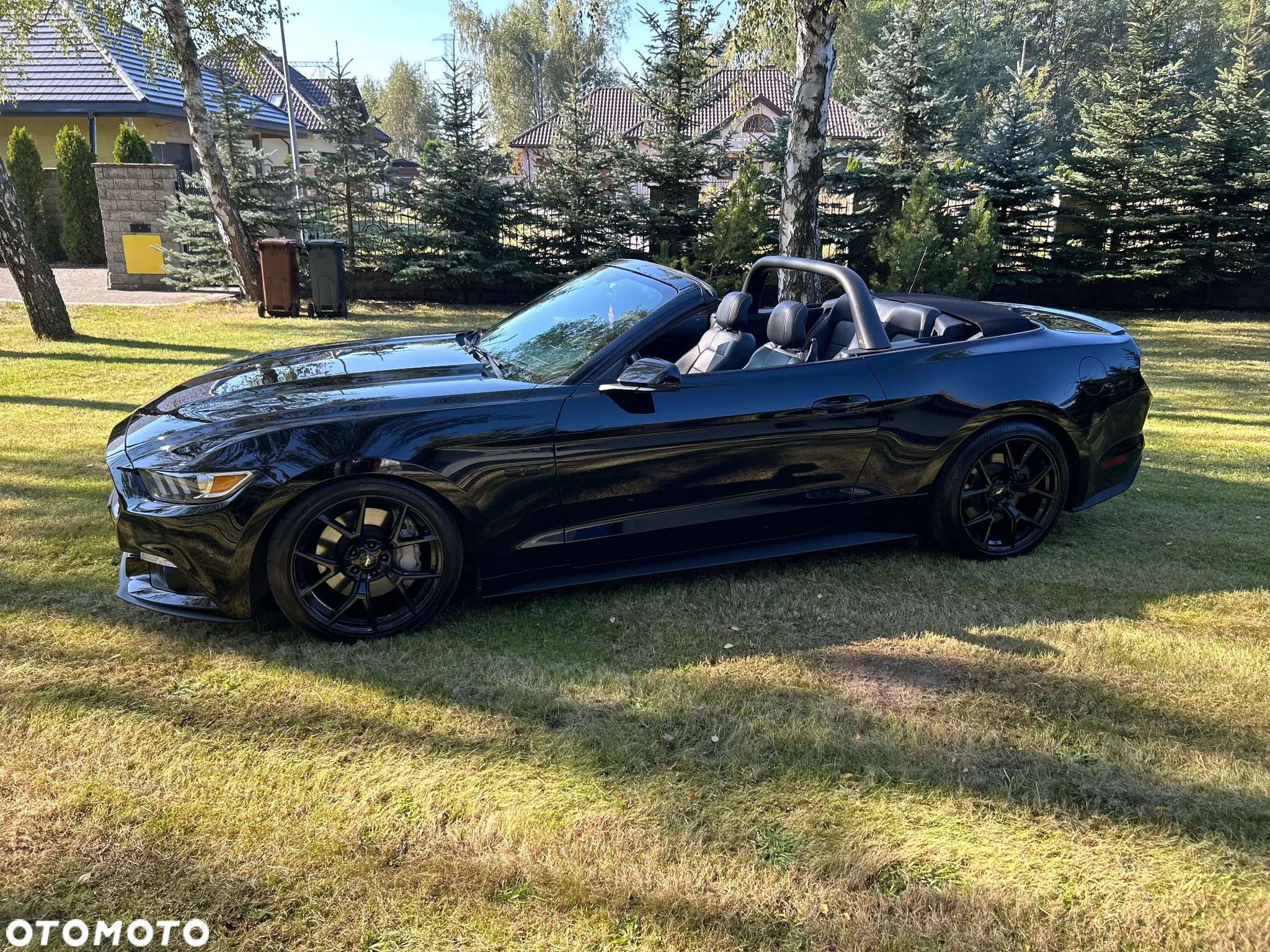 Ford Mustang - 13
