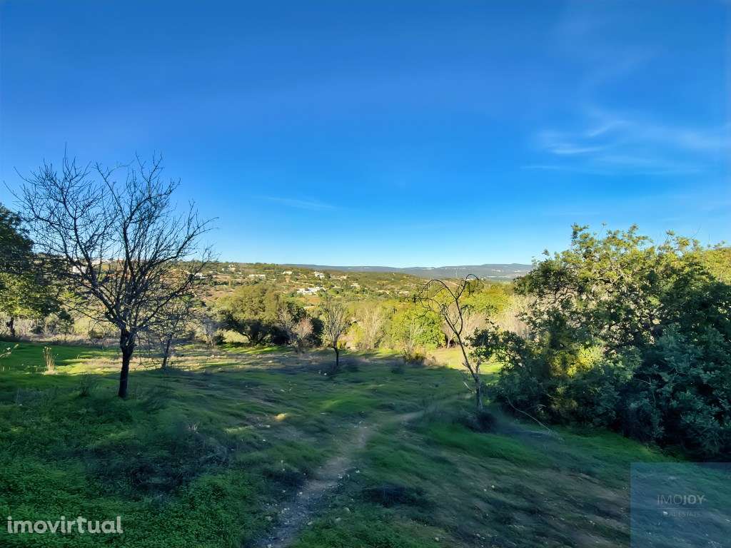 Magnífico Terreno com Ruína em Vale Pegas - Paderne - Grande imagem: 5/29