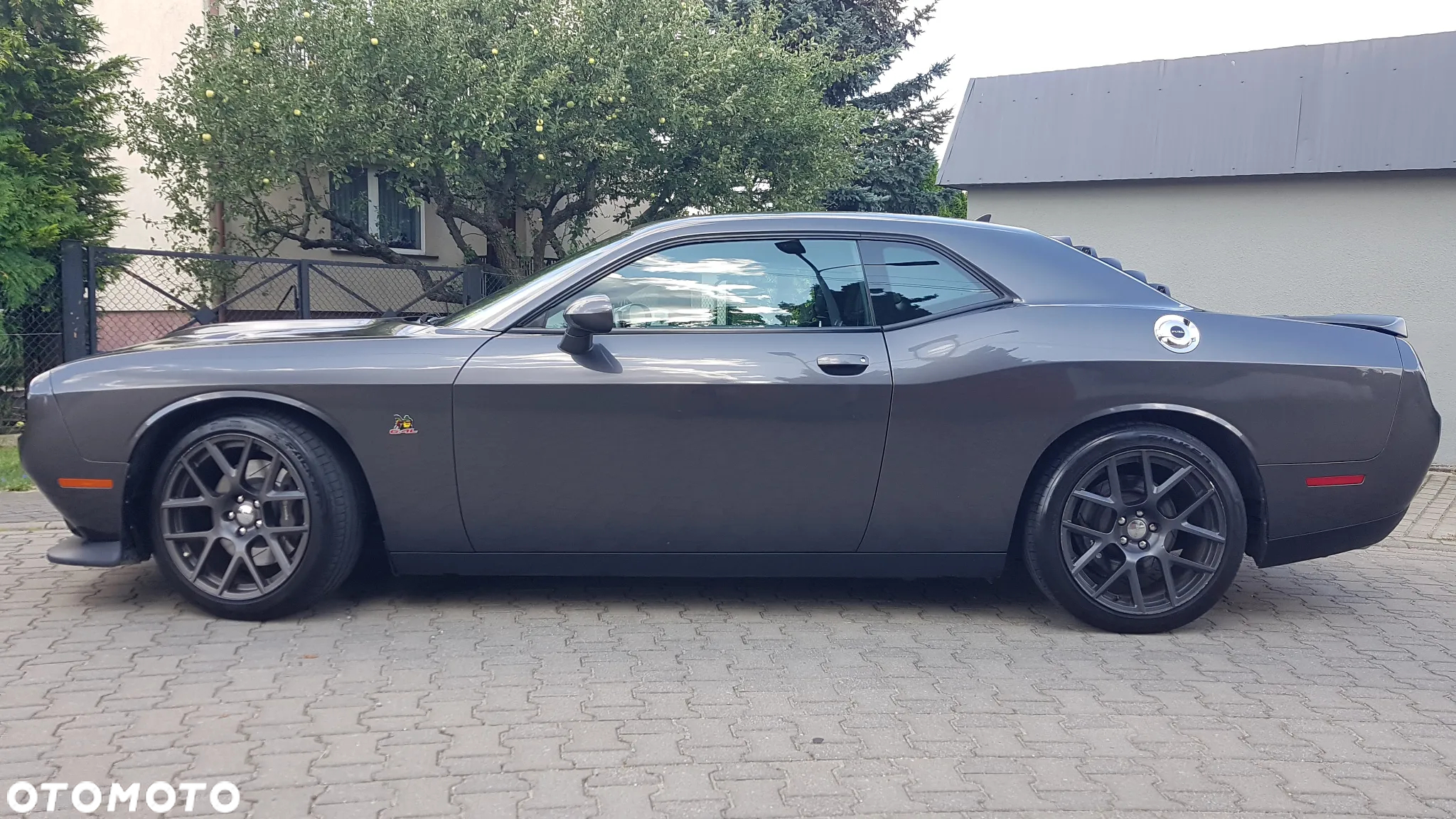 Dodge Challenger - 2