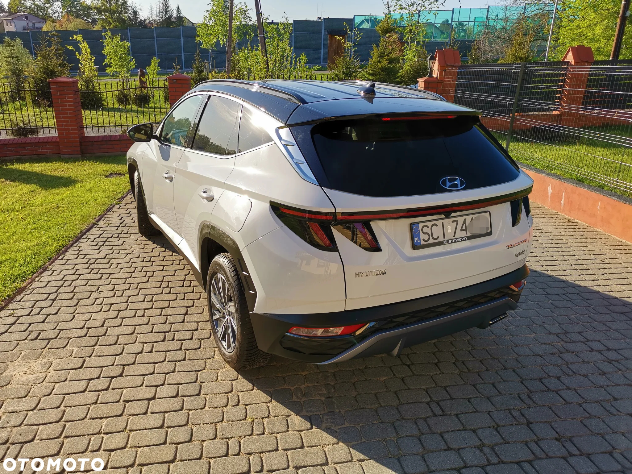 Hyundai Tucson 1.6 T-GDi HEV Executive 2WD - 5