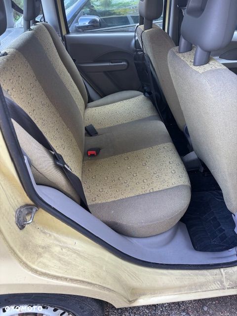 Fiat Panda - 2