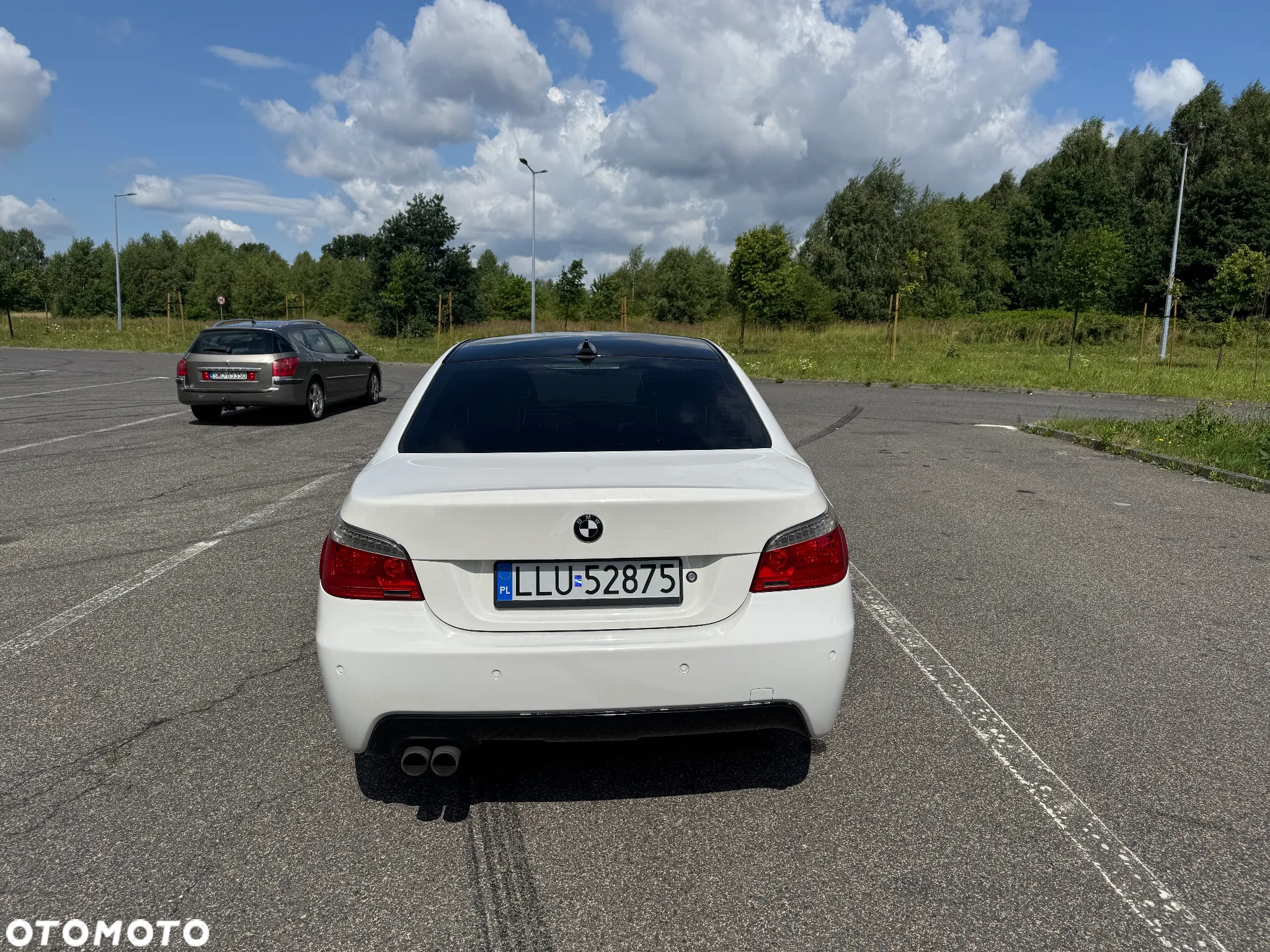BMW Seria 5 550i - 8