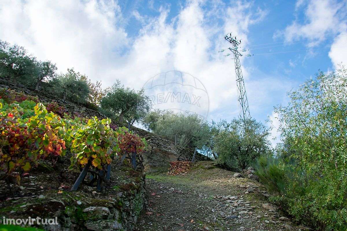 Terreno  para venda - Grande imagem: 4/23