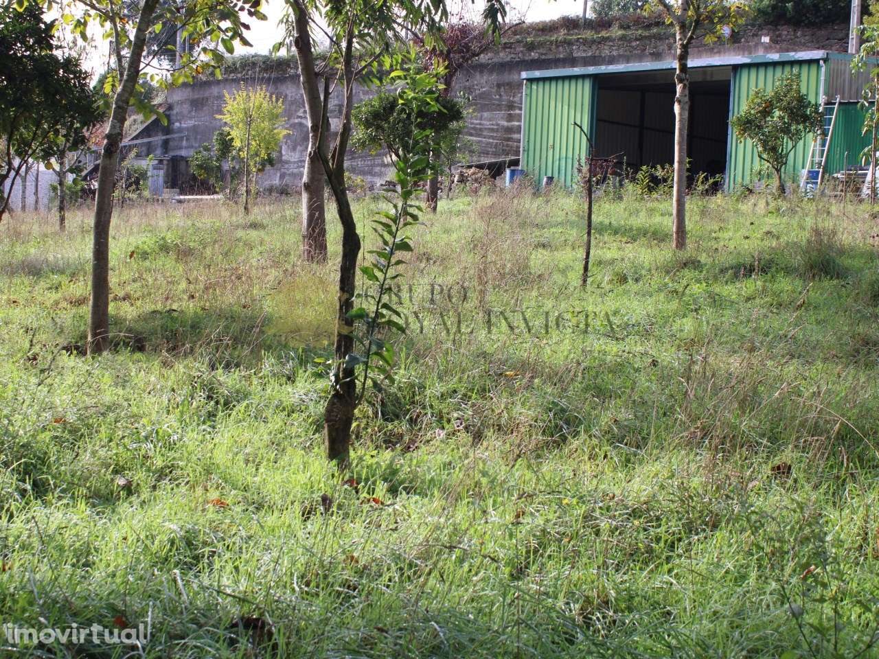 Terreno urbano em Avintes, junto ao rio - Grande imagem: 4/4