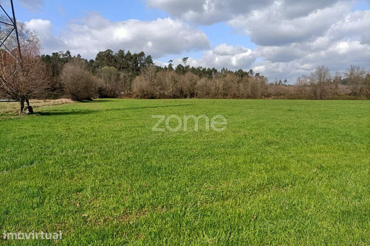 Terreno de 6080 m2, Cervães - Vila Verde - Grande imagem: 5/19