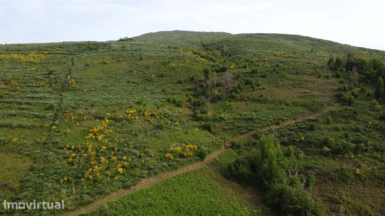 Quinta T0 Venda em Figueiró da Serra e Freixo da Serra,Gouveia - Grande imagem: 5/9