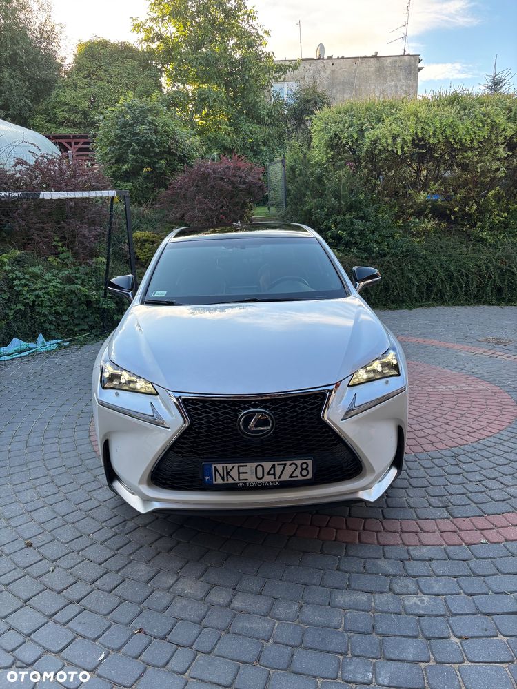 Lexus NX 300h F Sport AWD - 11