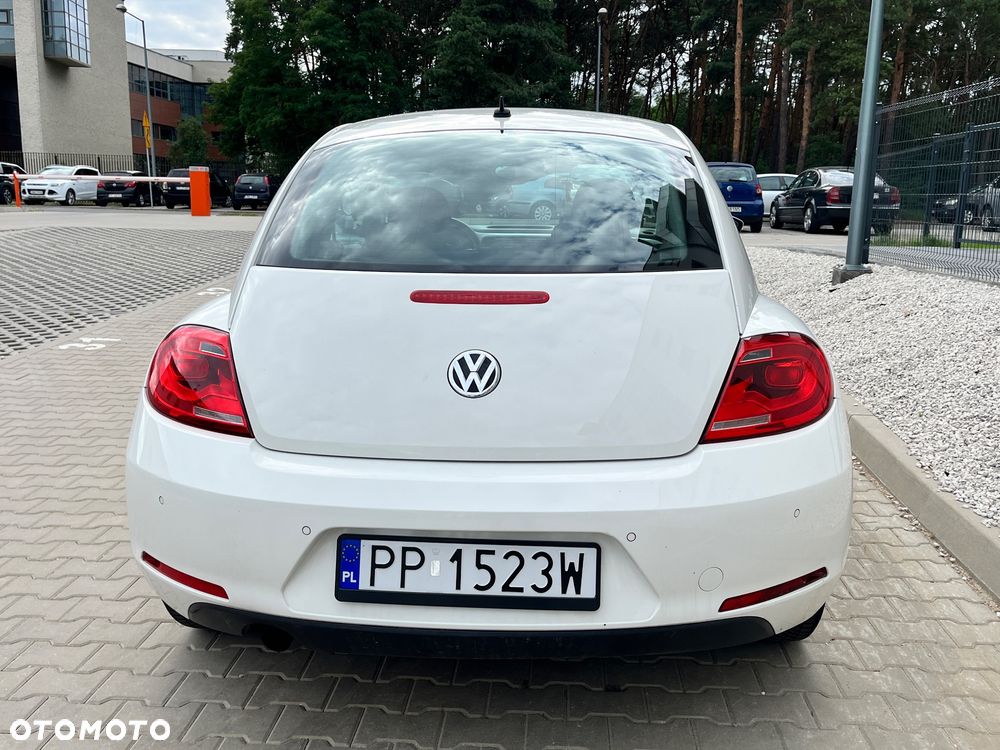 Volkswagen Beetle - 6