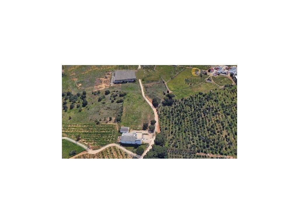 Armazém Comercial/Industrial com Terreno de 1 Hectare! - Grande imagem: 3/3