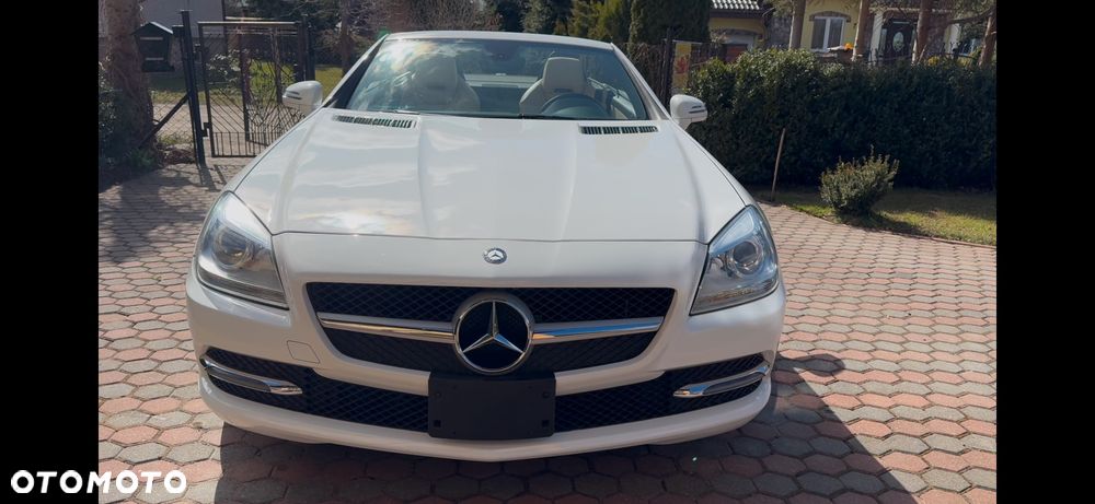 Mercedes-Benz SLK 250 (BlueEFFICIENCY) 7G-TRONIC - 1