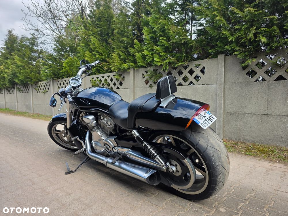Harley-Davidson V-Rod Muscle - 7