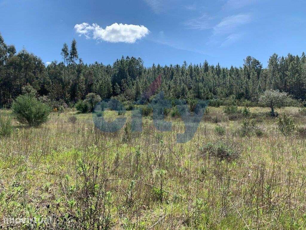 Terreno com Mina de Água em Enxames - Grande imagem: 5/15