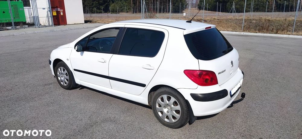 Peugeot 307 - 14