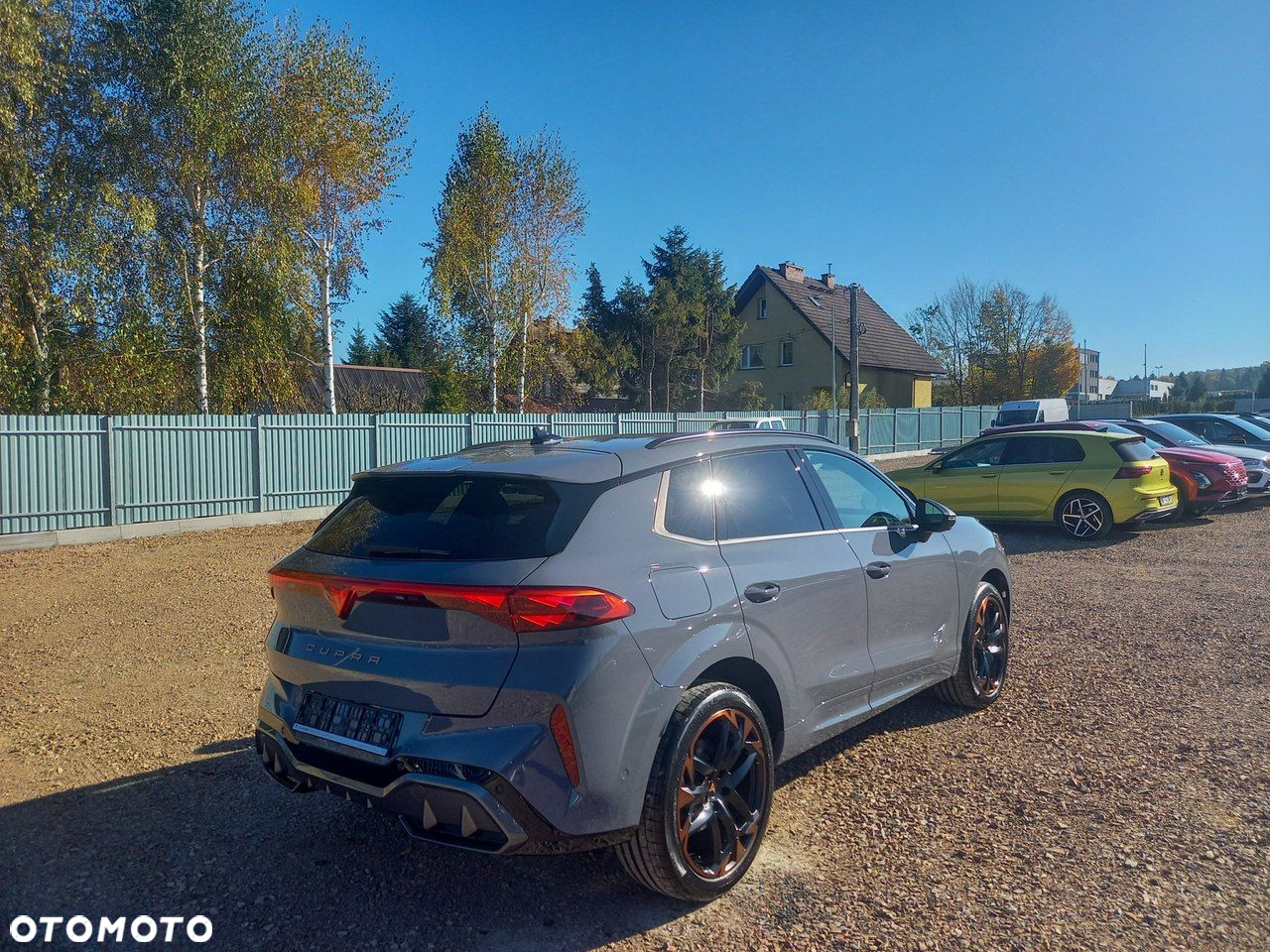 Cupra Terramar - 5
