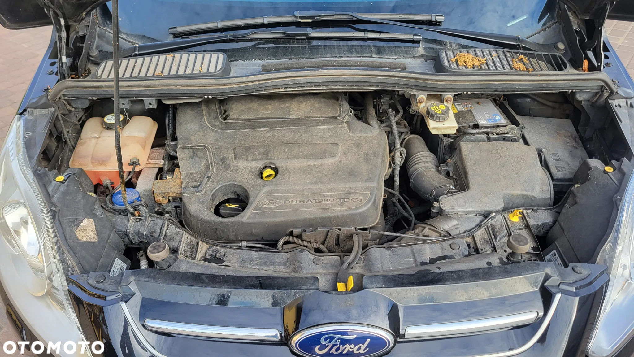 Ford Grand C-MAX 2.0 TDCi Champions Edition - 15