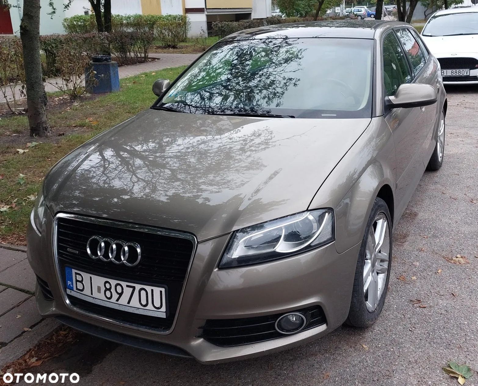 Audi A3 - 1