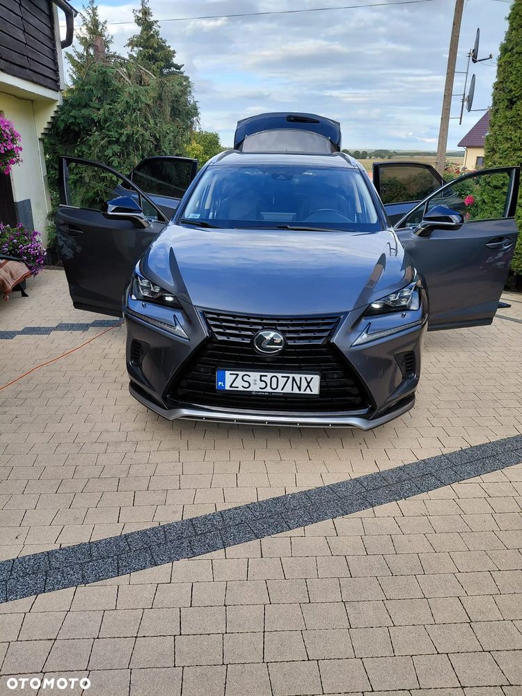 Lexus NX 300 F Impression AWD - 1