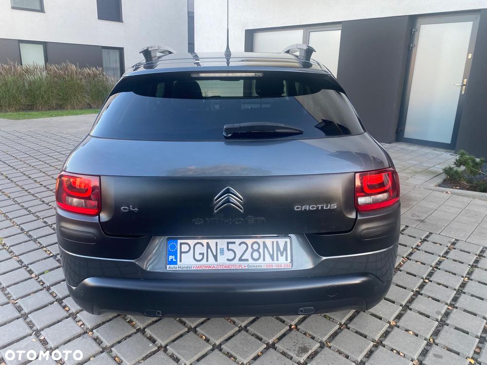 Citroën C4 Cactus 1.6 Blue HDi Shine ETG - 18