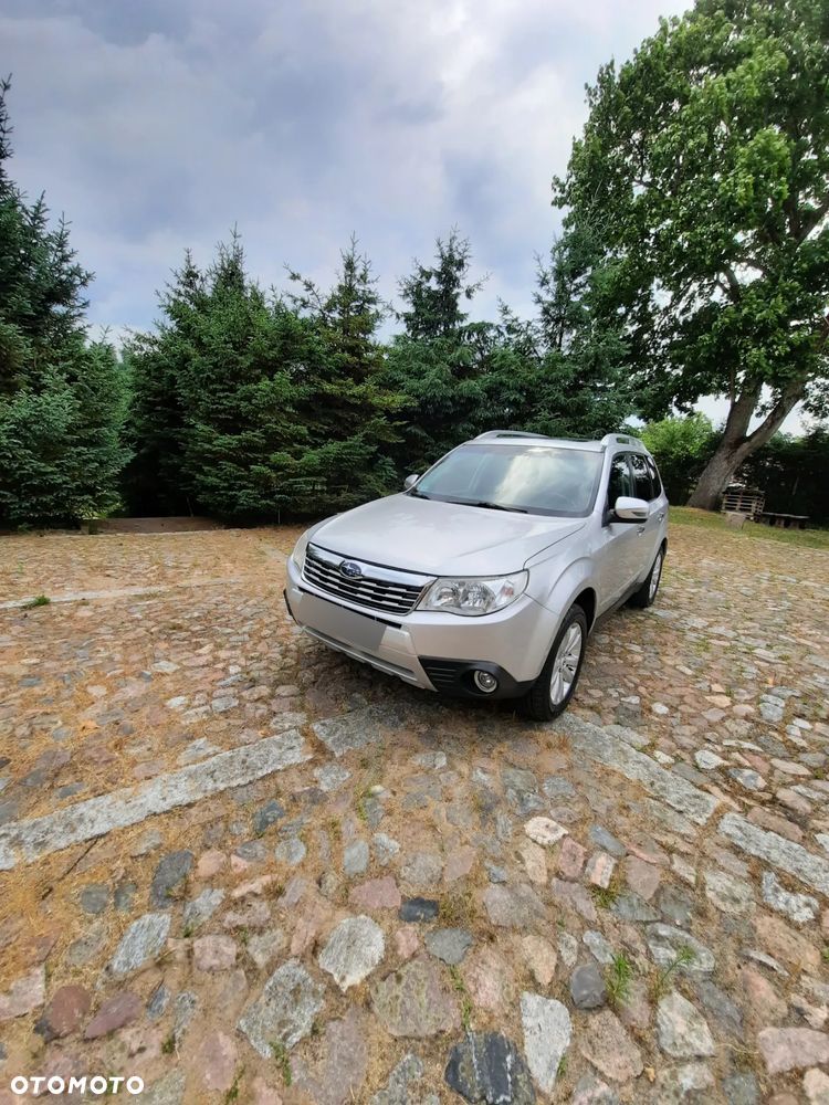 Subaru Forester 2.5X Automatik - 11