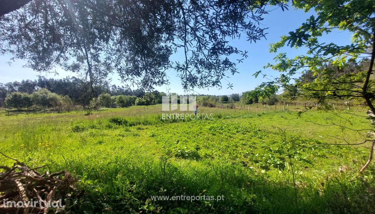 Venda de terreno agrícola, Alvarães, Viana do Castelo - Grande imagem: 3/15